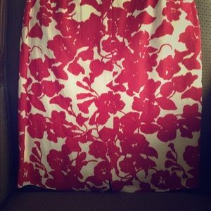 Beautiful Ann Taylor Skirt